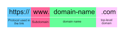 website 
domain
